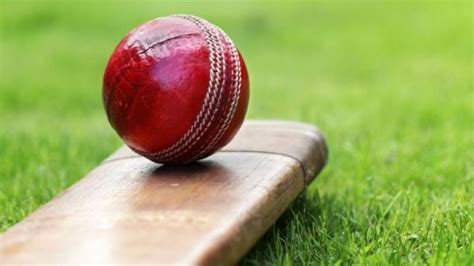 Cricketer handed 17 and a half year ban in match-fixing probe