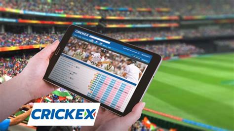 Crickex Live Betting Review