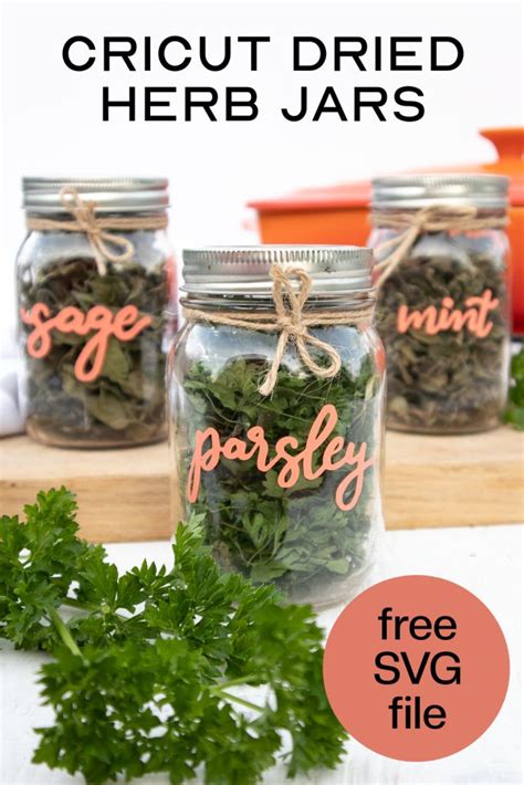 Cricut Herb Mason Jars - Creative Cynchronicity