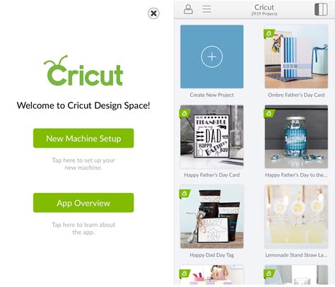 Plus. Priority Member Care. *Enjoy your Cricut Access benefits across all Cricut design apps, including Design Space and Cricut Joy app. C$ 149.99. per year. Learn More. (C$12.50 / mo) ¹ Discount applies to all licensed digital content on cricut.com and Cricut Design Space® apps. Certain restrictions may apply, see checkout for details.