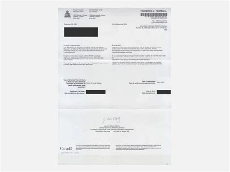 Criminal record check.  These include mail, When requesting a criminal histor...