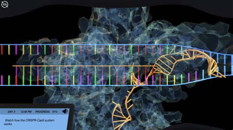 CRISPR-Based Screening in Three-Dimensional Organoid Cult