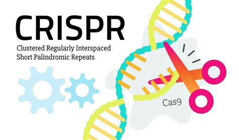 Crispr stands for