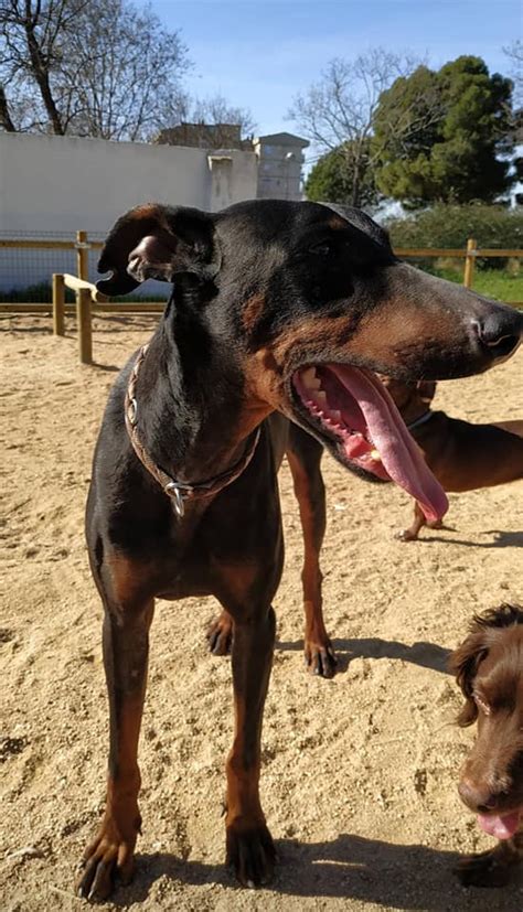 Cristina Bashmurova Onlyfans Leak XxX 🔥