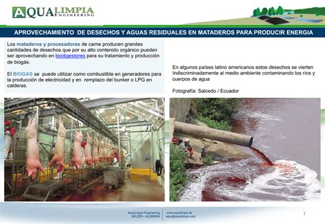 Criterios generales para proyectos de mataderos en colombia. - Manuale di officina ford fiesta corriere.