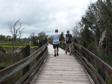 Croatan National Forest - Tripadvisor