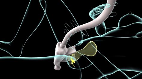 💦 (SEX) Crobonez Onlyfans Leaked