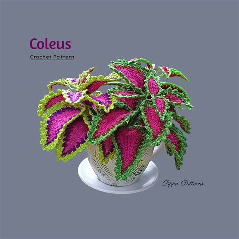 Crochet Coleus Plant Pattern