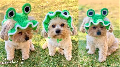 Crochet Hat for Dogs Tutorial