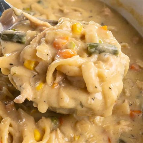 Crock Pot Chicken and Noodles - slowcookermeals.com