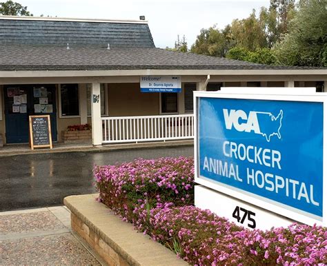 Crocker animal hospital. VCA Crocker Animal Hospital, San Jose, California. 442 likes · 946 were here. VCA Crocker Animal Hospital is an AAHA accredited veterinary facility based in San Jose, … 