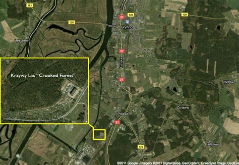 Crooked Forest Map Locality Gmina Gryfino  Mapcarta.