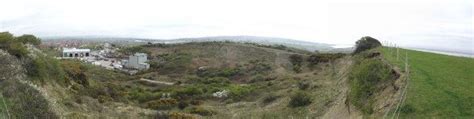 Crookhill Brickpit SSSI Report on DIGS workday 21 February 2024