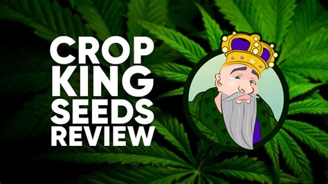 Crop kings seed. CROP KING SEEDS NEWS Access to reliable and comprehensive guides for successful cannabis cultivation is important and understood by Crop King Seeds. That’s why we … 