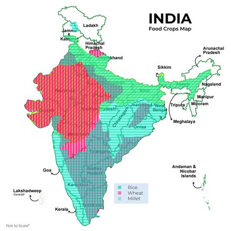 Cropping Patterns and Major Crops of India - GeeksforGeeks