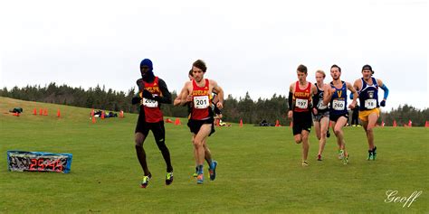 Cross Country - NSW CIS