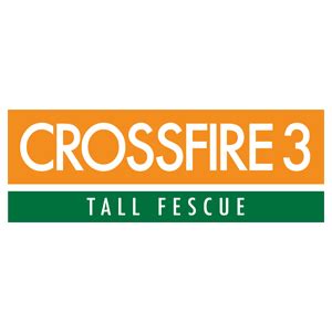 Crossfire 4 tall fescue. Things To Know About Crossfire 4 tall fescue. 