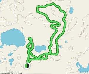 Crosslake Community Center Trail: 142 Reviews, Map - AllTrails