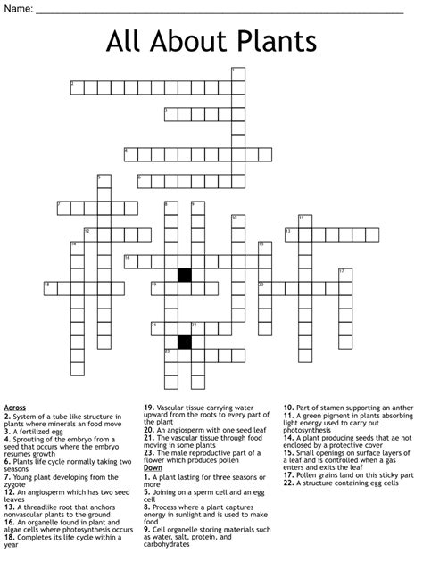 Crossword clue aromatic plant. Things To Know About Crossword clue aromatic plant. 