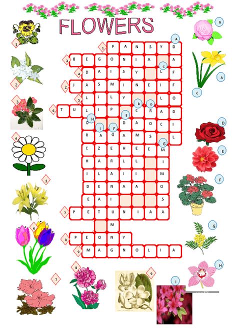 The Crossword Solver found 30 answers to "brightly coloured spring flowers (6)", 6 letters crossword clue. The Crossword Solver finds answers to classic crosswords and cryptic crossword puzzles. Enter the length or pattern for better results. Click the answer to find similar crossword clues. Enter a Crossword Clue ...