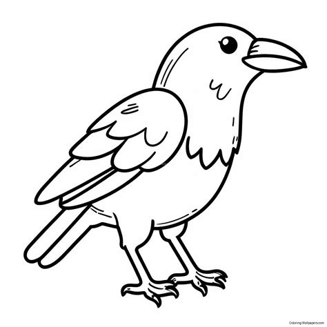 Crow Coloring