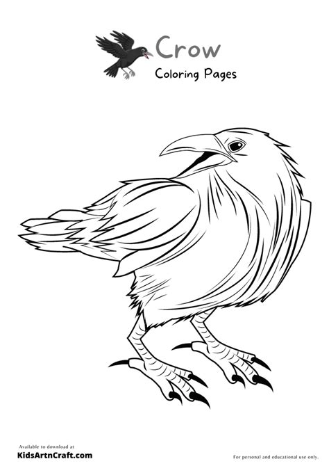 Crow Coloring Pages to download and print for free