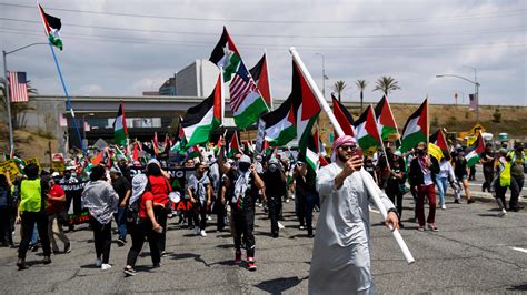 Crowd calls for liberation of Palestine at Kingston rally