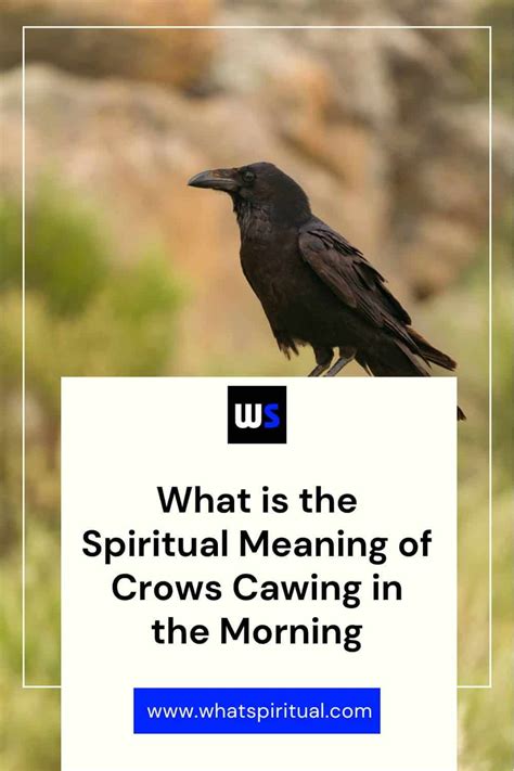 Crows cawing in the morning meaning. .  ...