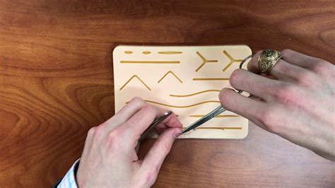 Cruciate Suture Pattern Demonstration YouTube