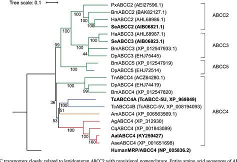 Cry toxin specificities of insect ABCC transporters closely ... - PubMed