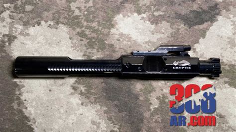 Cryptic Coatings Mystic Black Bolt Carrier Group - 308 AR