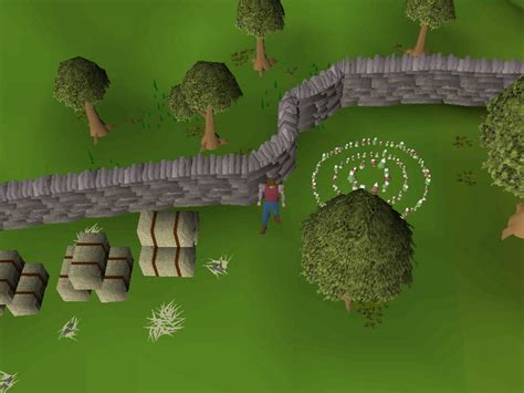 114. Guard dogs are animals that can be found in various man-made locations. For lower-level players, guard dogs can be tough to defeat with melee, due to their fairly high melee accuracy. They can be slain towards a dog Slayer task, but Jackals may be much easier. The guard dogs by the fruit stalls at Xeric's Glade will only become aggressive ....