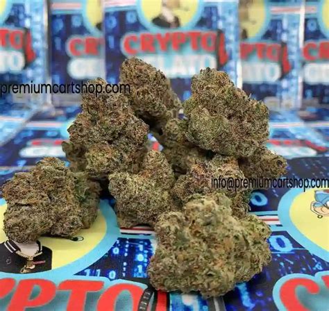Sep 25, 2022 · 1kingkush 220 reviews - Posted March 24, 2022, 5:08 p.m. Kryptochronic is an evenly balanced hybrid strain (50% indica/50% sativa) created through crossing the iconic [ (Fruity Pebbles OG X Alien Cookies) X Jet Fuel Gelato] strains. Best known for its super lifting and pretty energizing high, Kryptochronic is a great choice for any hybrid lover ... . 