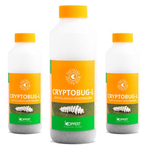 Cryptobug-L Koppert Products