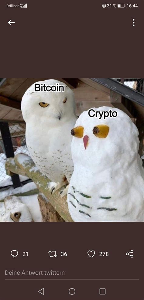 Cryptorian (@Cryptoriksen) / Twitter