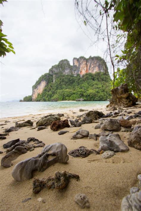 Crystal Clear Sea Water,pleasant and Shady …