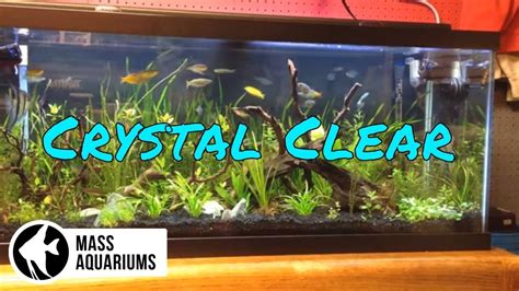 Crystal Clear Tanks: Water tank cleaning