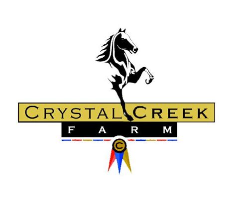 Crystal Creek Farm Hackney Ponies Winterville GA - Facebook