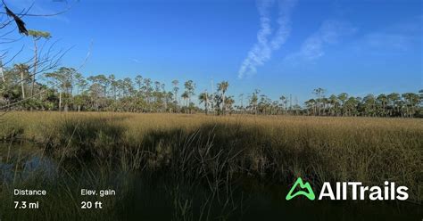 Crystal River Preserve Loop Trail - AllTrails.com