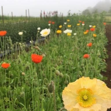 Crystal Spring Community Farm Brunswick ME - Facebook