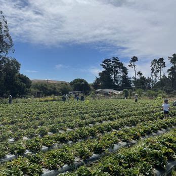 Crystal bay farm.  2,528 likes &middot; 3,140 were here.  Jan 21, 2025 · Crystal Bay Farm is a ...