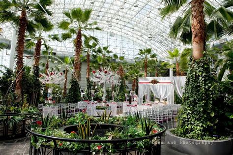 Crystal gardens. Things To Know About Crystal gardens. 