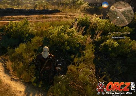 The Last Wish is a secondary quest in The Witcher 