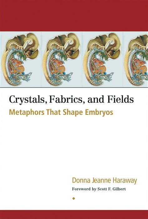 Crystals Fabrics And Fields Metaphors That Shape