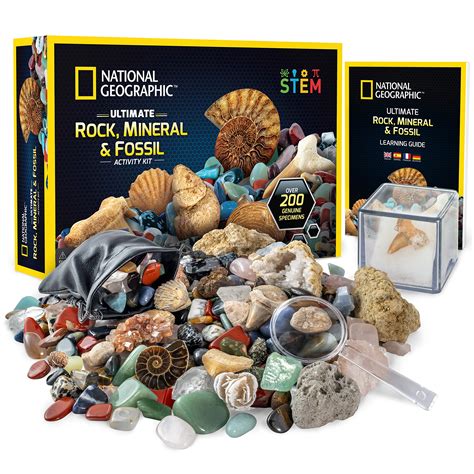 Crystals and Fossils Discovery Box eBay