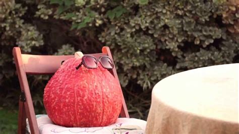 🍆 XXX Csabotage Leaks