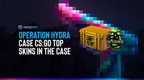 Csgo hydra case items