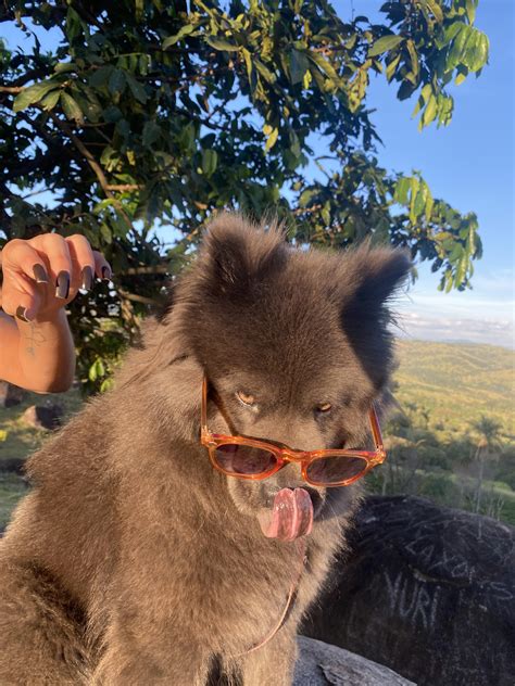 Cslfadaprazeres Leaks XxX 250 Pics