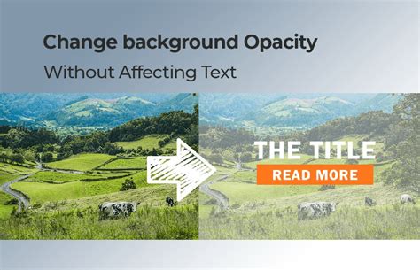 Css background image opacity without affecting text. 2&rsquo; reduce the visi...