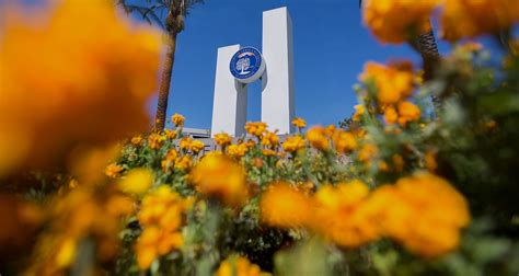 To log in to the Housing Application Portal, use your Cal State Fullerton username and password and then click the Application Tab to access the application. . Csufportal